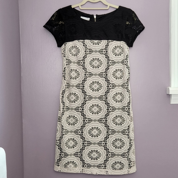 London Times Dresses & Skirts - London Times blocked lace shift dress